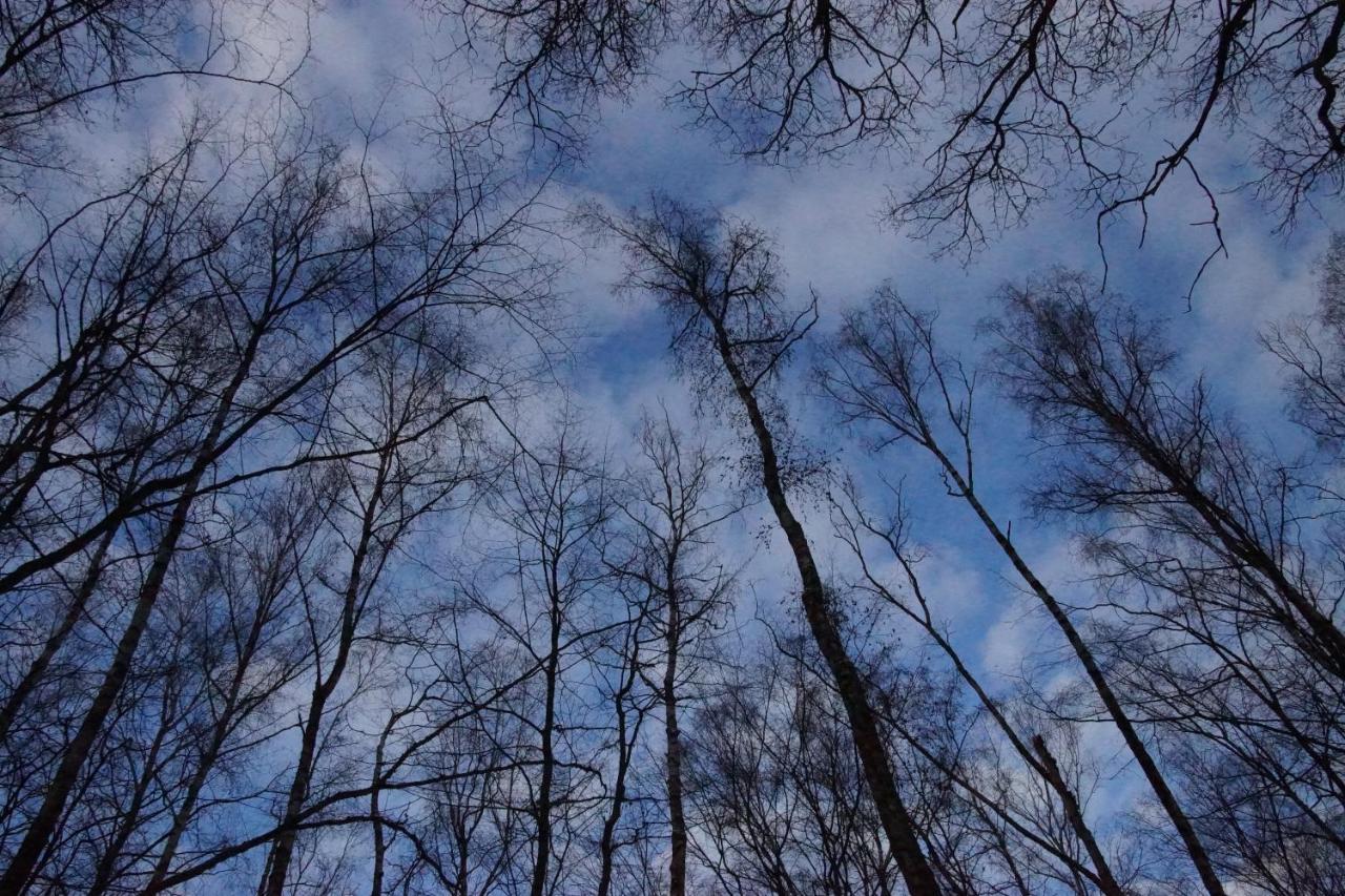 Gaestehaus Koehler Waldsolms Zewnętrze zdjęcie