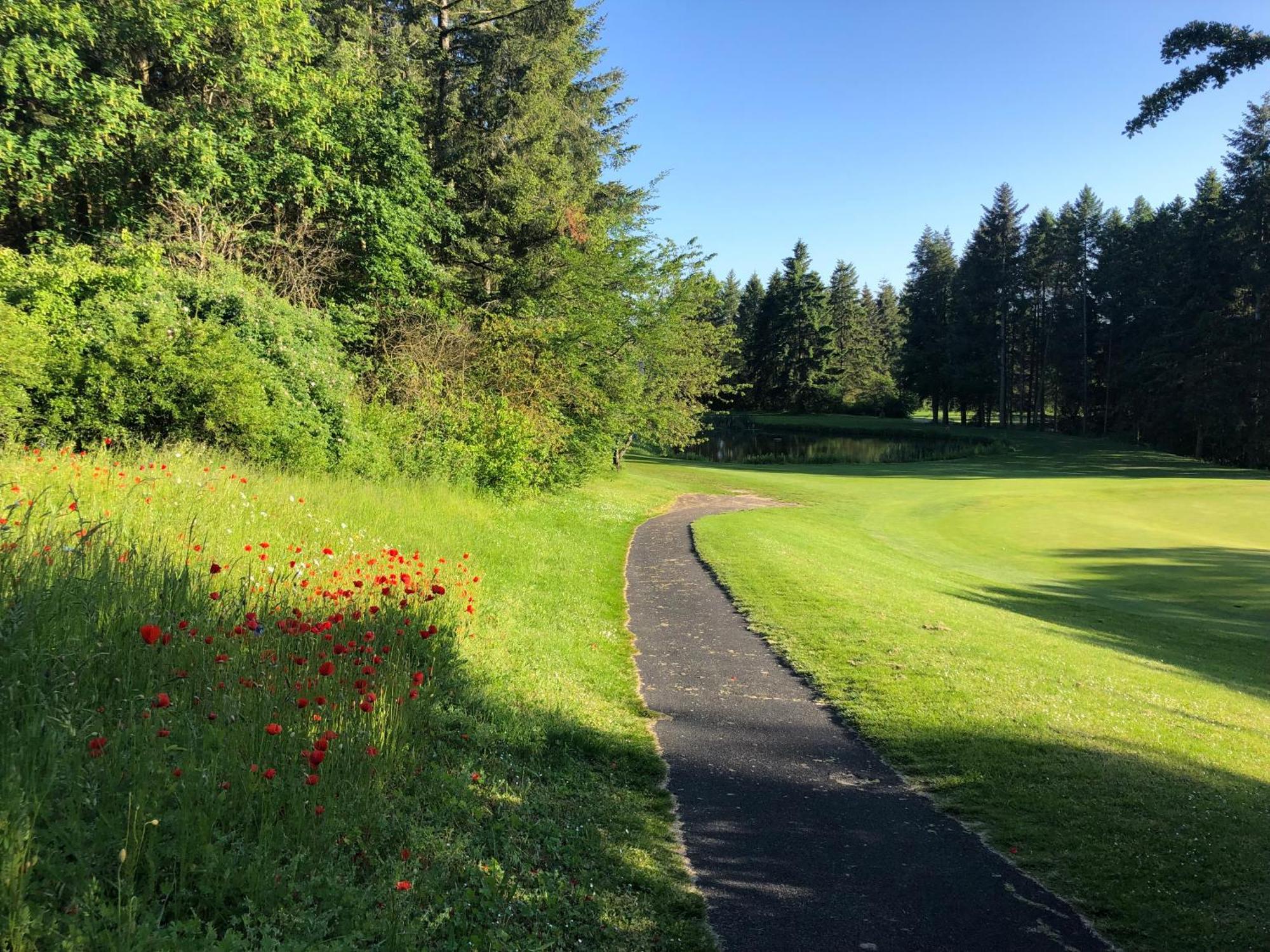 Gaestehaus Koehler Waldsolms Zewnętrze zdjęcie