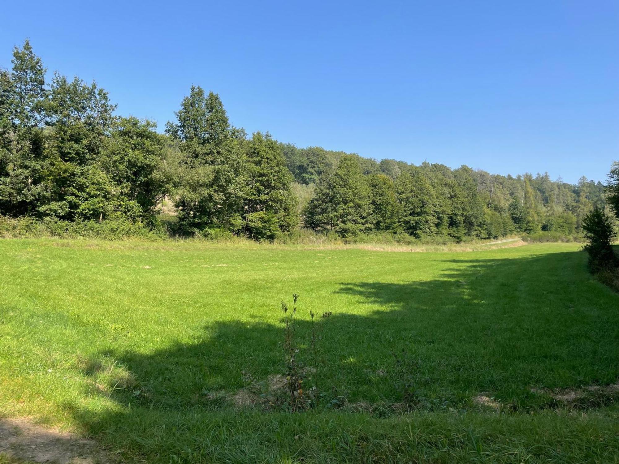Gaestehaus Koehler Waldsolms Zewnętrze zdjęcie