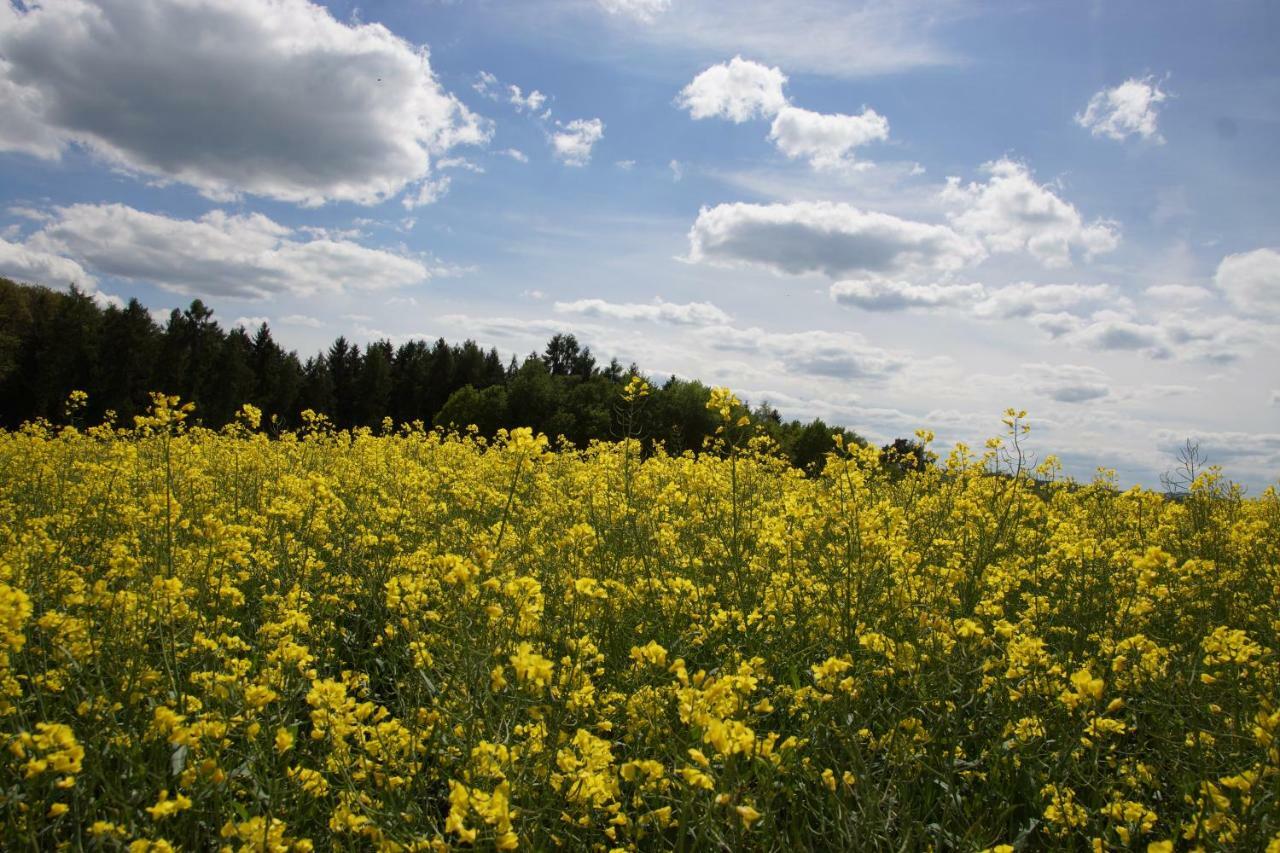 Gaestehaus Koehler Waldsolms Zewnętrze zdjęcie